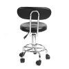 DR STOOL+BACKREST2 Doctor Stool + Backrest