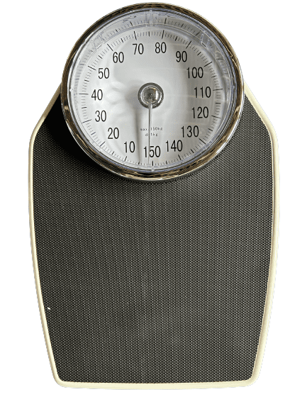 Adult scale - Analogue