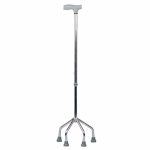Walking Stick - Quadripod