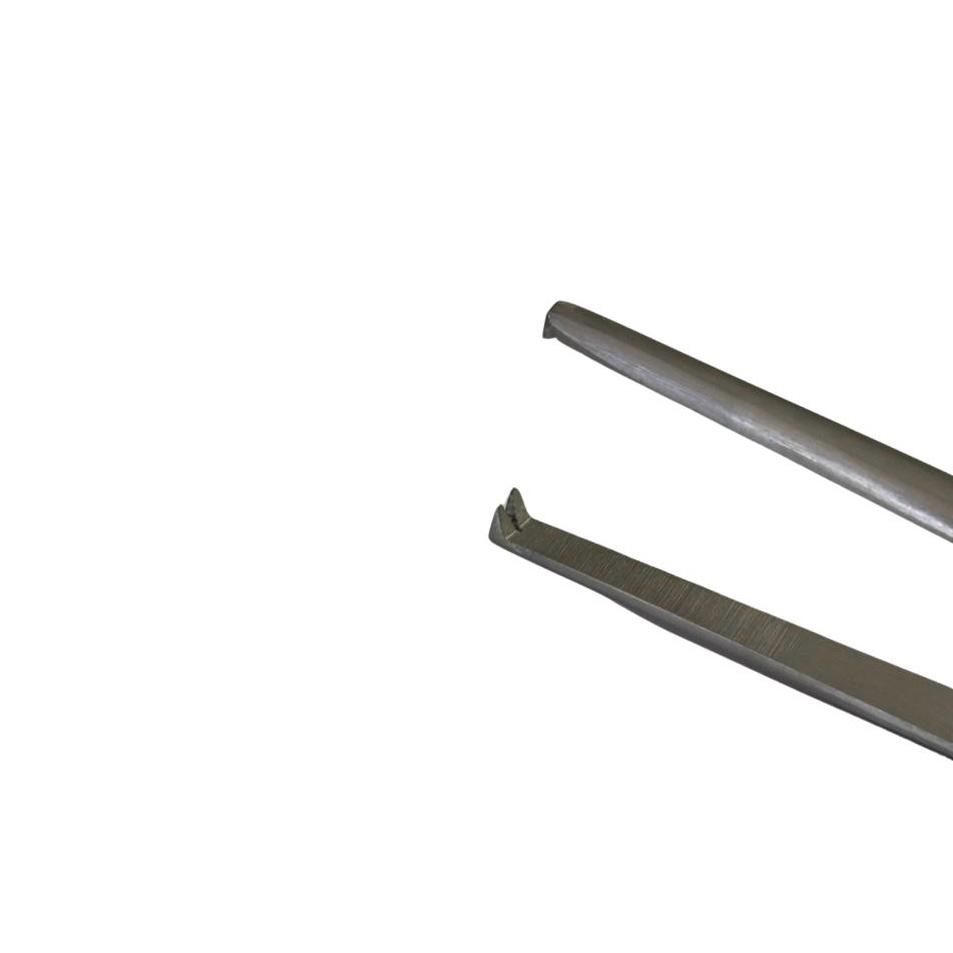 WhatsApp Image 2026-03-25 at 10.54.11 (1) Dissecting Forceps 15cm Toothed