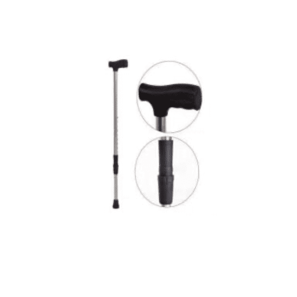 Walking Stick