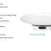 Digital baby scale